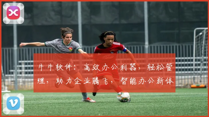 牛牛软件：高效办公利器，轻松管理，助力企业腾飞，智能办公新体验，必看攻略