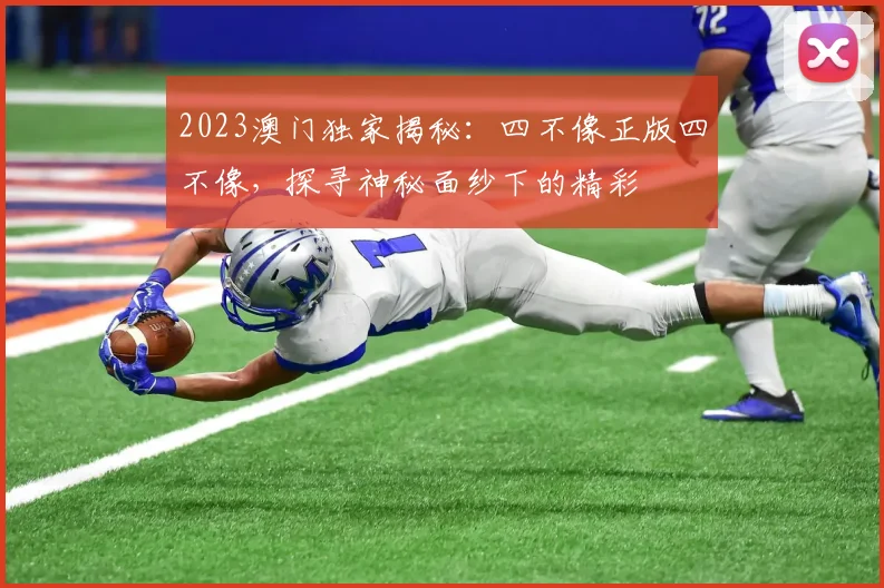 2023澳门独家揭秘：四不像正版四不像，探寻神秘面纱下的精彩