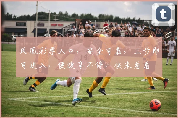 凤凰彩票入口，安全可靠，三步即可进入，便捷享不停，快来看看